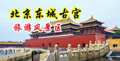 我操s你黄在线观看中国北京-东城古宫旅游风景区